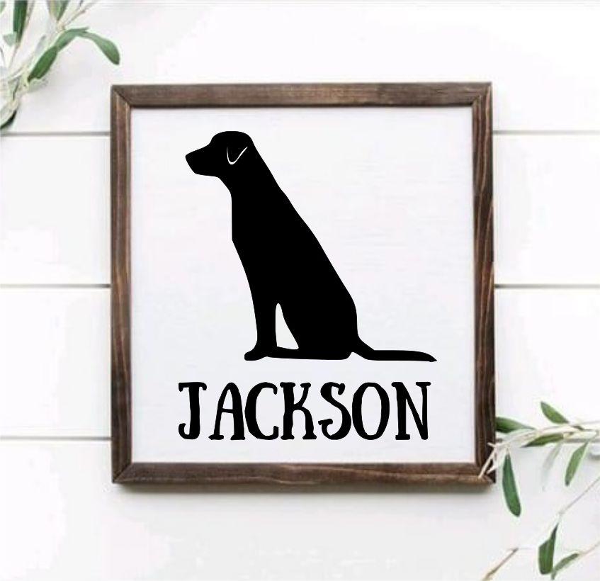 Pet Lover Collection