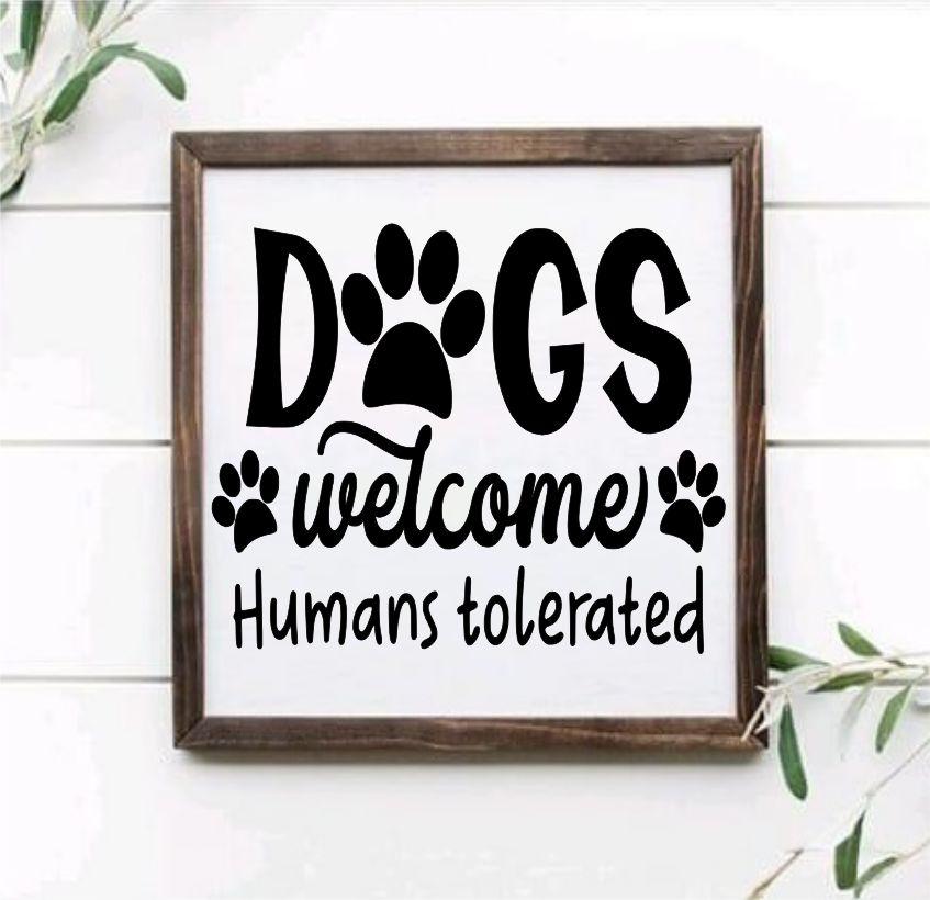Pet Lover Collection