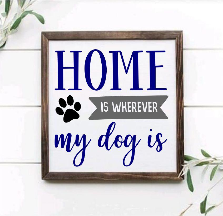 Pet Lover Collection