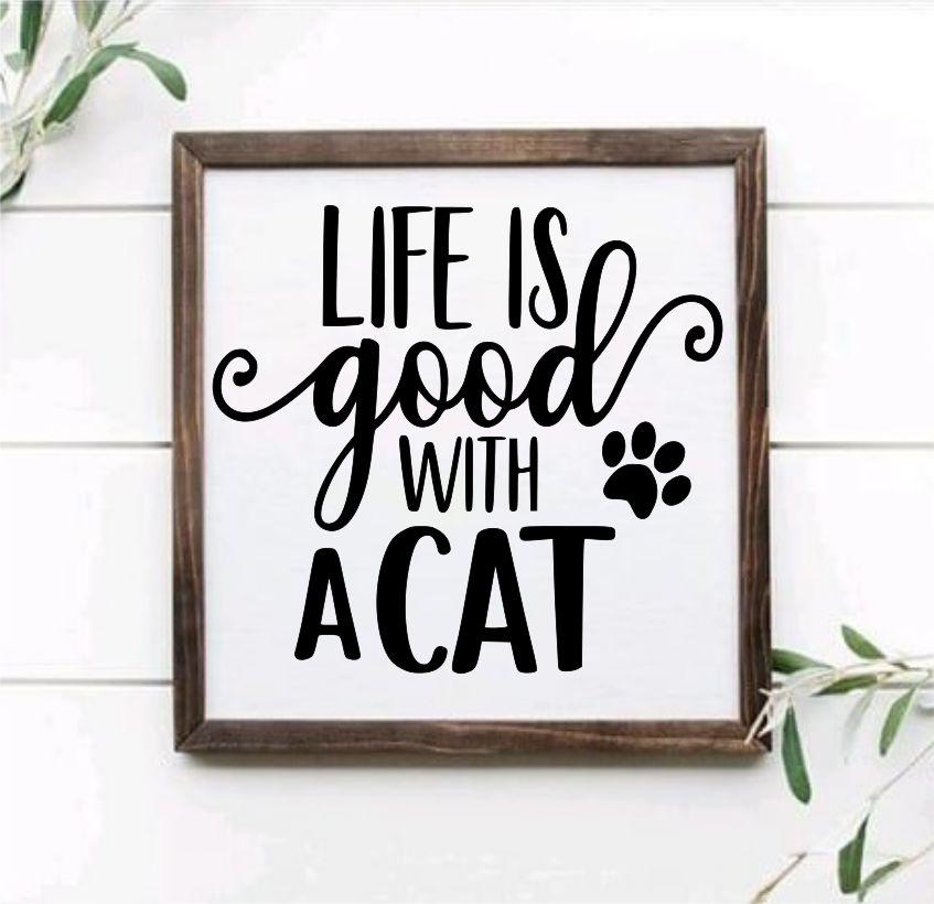 Pet Lover Collection