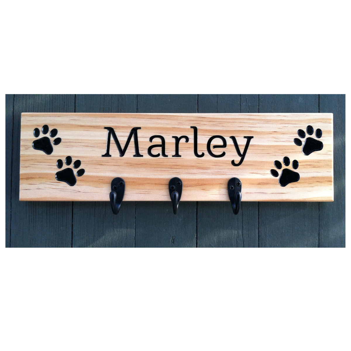 Pet Lover Collection