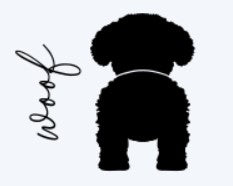 Dog Bichon Frise